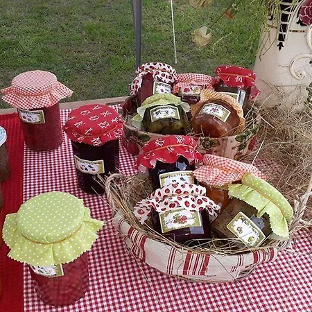 Au ' Bord Des Landes '