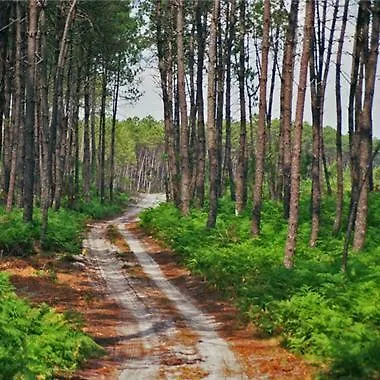 Au ' Bord Des Landes ' 3* Cazalis (Gironde)