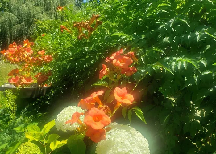 Au ' Bord Des Landes ' 3*